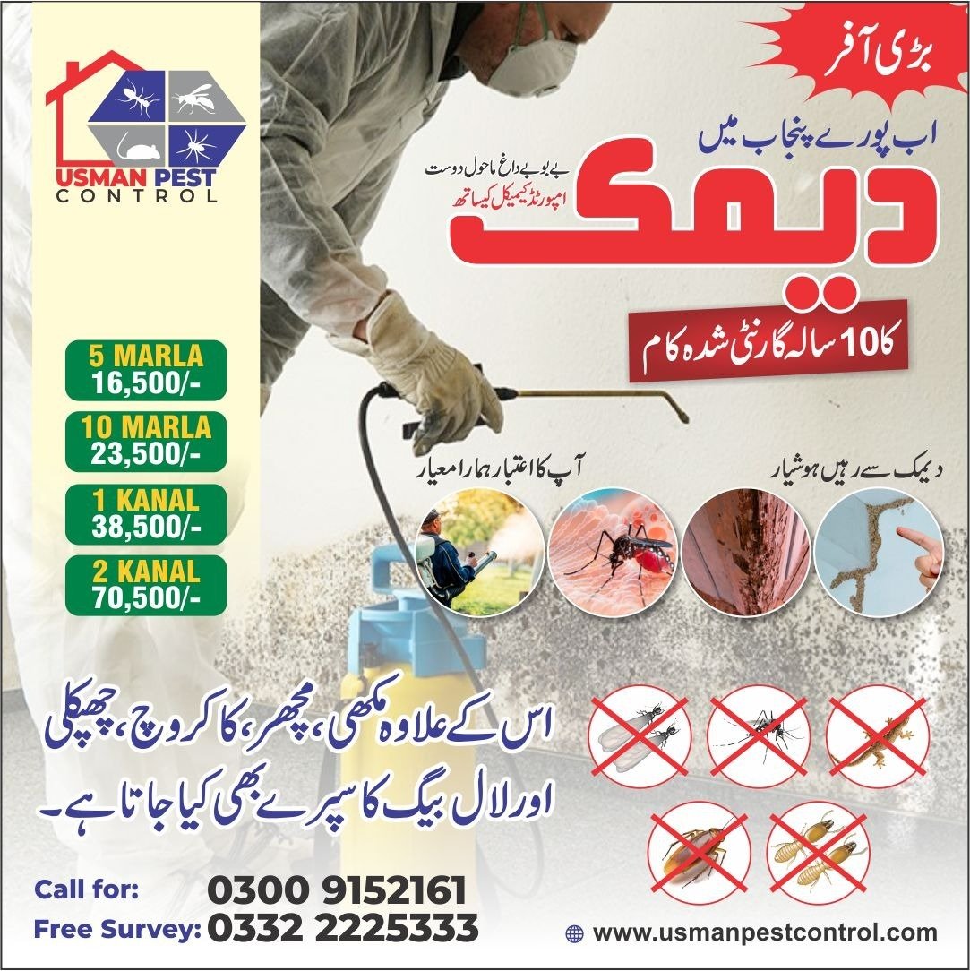 Deemak Control in Lahore | Expert Pest Control Services
